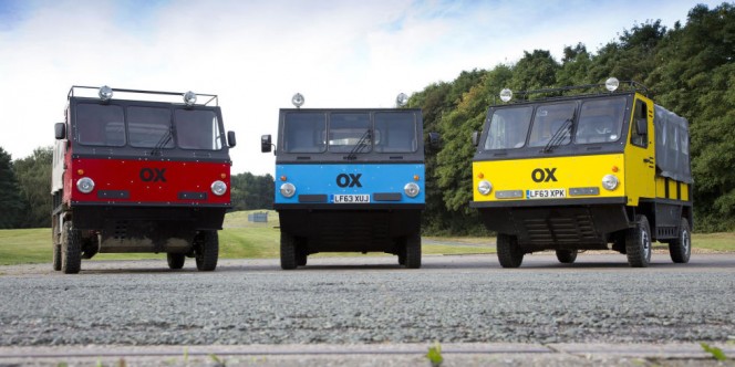 global-vehicle-trust-ox-1