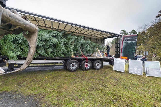 CharterWay liefert royalen Weihnachtsbaum für die Queen