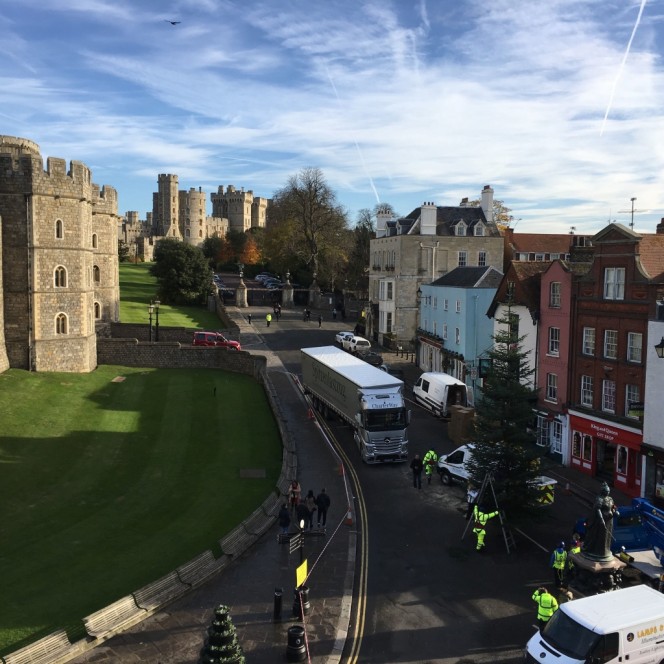 Am Ziel: Der Weihnachtsbaum für die Queen ist vor Windsor Castle angekommen.