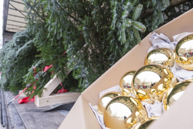 CharterWay liefert royalen Weihnachtsbaum für die Queen