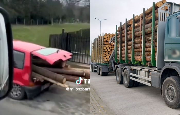 Cinquecento kontra ciężarówka - kara za przeładowanie drewnem 160 razy niższa